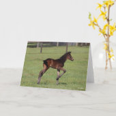 Carte Bob Langrish | Quartier Cheval Foie debout Leg Up (Fleur jaune)