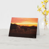 Carte Bob Langrish | Quatre chevaux pâturant au coucher (Fleur jaune)