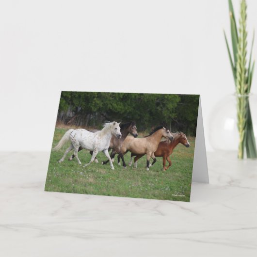 Carte Bob Langrish | Quatre Poney Courant Ensemble (Devant)
