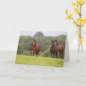 Carte Bob Langrish | Quatre Ponts gallois se rassemblent (Fleur jaune)