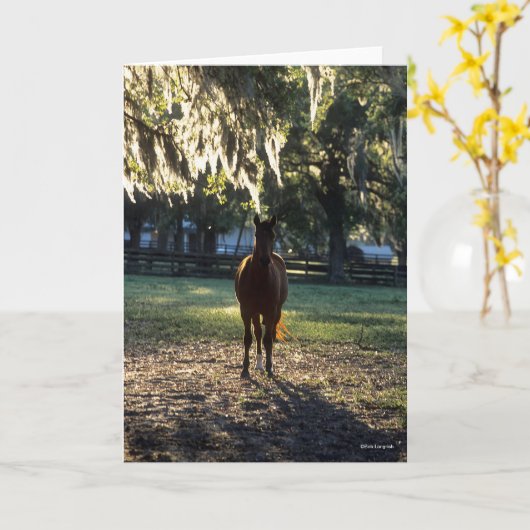 Carte Bob Langrish | Rétroéclairage du sang chaud (Fleur jaune)
