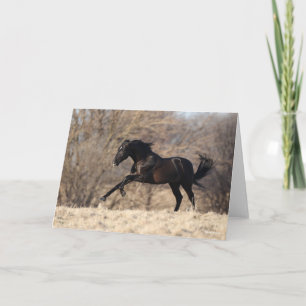 Carte Bob Langrish Running andalou