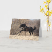 Carte Bob Langrish | Running Andalucian (Fleur jaune)