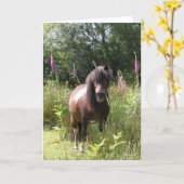 Carte Bob Langrish | Shetland Pony Debout De Fleurs (Fleur jaune)