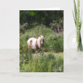 Carte Bob Langrish | Shetland Pony Debout De Fleurs (Devant)