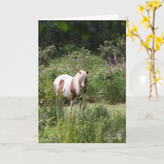 Carte Bob Langrish | Shetland Pony Debout De Fleurs (Fleur jaune)