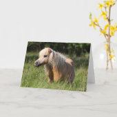 Carte Bob Langrish Shetland Pony debout en herbe longue (Fleur jaune)