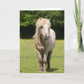 Carte Bob Langrish | Shetland Pony Standing (Devant)