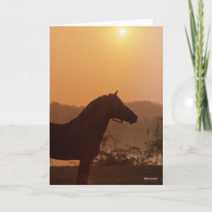 Carte Bob Langrish   Silhouette Rocky Mountain Horse