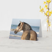 Carte Bob Langrish | Soleil de Stallion Andalou (Fleur jaune)