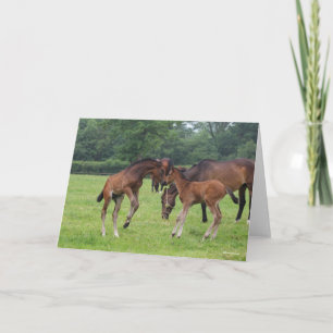Carte Bob Langrish Sport Horse Foals Jouer