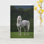 Carte Bob Langrish | Stallion arabe gris debout (Fleur jaune)