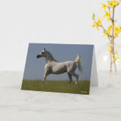 Carte Bob Langrish | Stallion arabe gris en campagne (Fleur jaune)