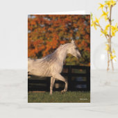 Carte Bob Langrish | Stallion arabe gris marche automne (Fleur jaune)
