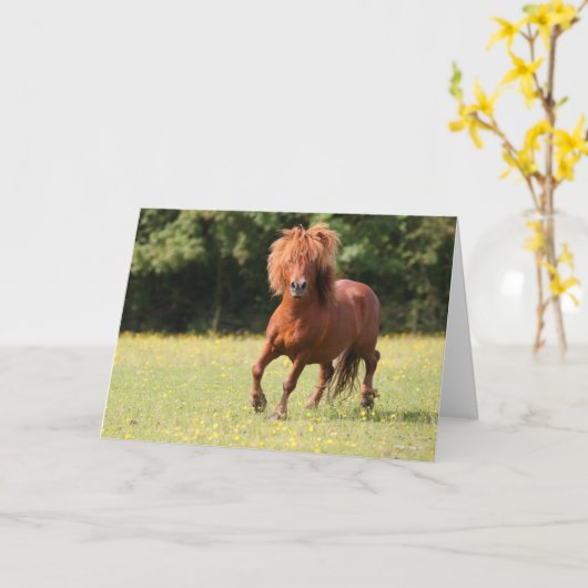 Carte Bob Langrish | Stallion de poney de châtaignes (Fleur jaune)