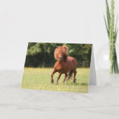 Carte Bob Langrish | Stallion de poney de châtaignes (Devant)