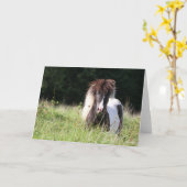 Carte Bob Langrish | Stallion Shetland debout Dans L'Her (Fleur jaune)