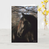 Carte Bob Langrish | Tennessee Walker noir (Fleur jaune)