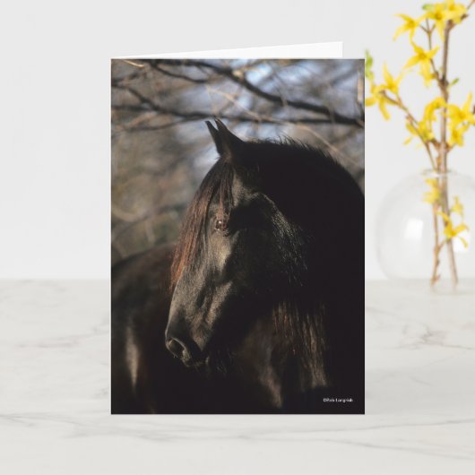 Carte Bob Langrish | Tennessee Walker noir (Fleur jaune)