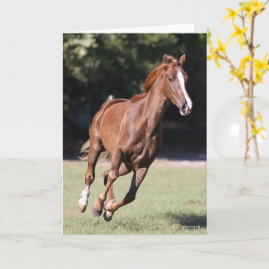 Carte Bob Langrish | Tennessee Walker Testnut Running (Fleur jaune)