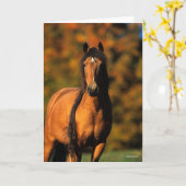 Carte Bob Langrish | Tête de tête du ponton de Chocktaw (Fleur jaune)