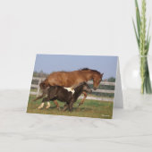 Carte Bob Langrish | Thoroughbred et Shetland Pony (Devant)