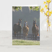 Carte Bob Langrish | Three Quarter Horse Youngsters (Fleur jaune)