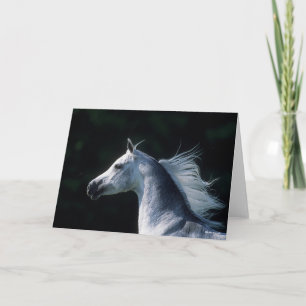 Carte Bob Langrish Tirage arabe gris 3