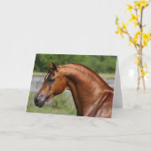 Carte Bob Langrish | Tirage de l'étalon arabe châtaignie (Fleur jaune)