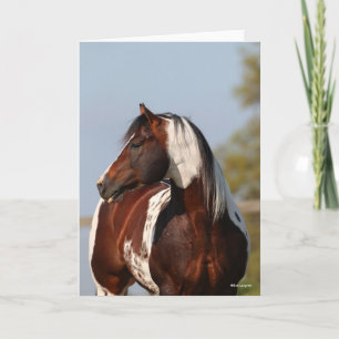 Carte Bob Langrish Tobiano Paint Horse Stallion tête