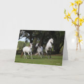 Carte Bob Langrish | Trois Andalous gris sautant (Fleur jaune)