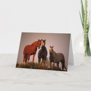 Carte Bob Langrish   Trois Arabes debout au coucher du s