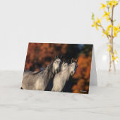 Carte Bob Langrish | Trois Arabes gris se rassemblent (Fleur jaune)