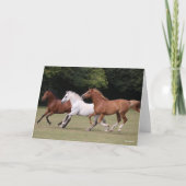 Carte Bob Langrish | Trois Chevaux Arabes Courant Ensemb (Devant)