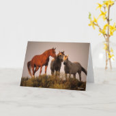 Carte Bob Langrish Trois Chevaux Arabes Debout Au Couche (Fleur jaune)