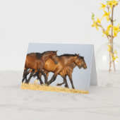 Carte Bob Langrish | Trois Mares andalouses en course (Fleur jaune)