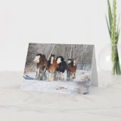 Carte Bob Langrish | Troupeau De Clydesdales En Neige (Devant)