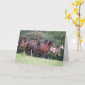 Carte Bob Langrish | Troupeau de poneys gallois en campa (Fleur jaune)