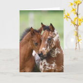 Carte Bob Langrish | Two Appaloosa Foals Meeting (Fleur jaune)