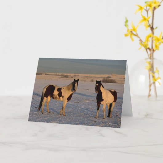 Carte Bob Langrish | Two Paint Horses In The Snow (Fleur jaune)