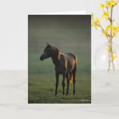 Carte Bob Langrish | Un Arabe debout dans le fond de la  (Fleur jaune)