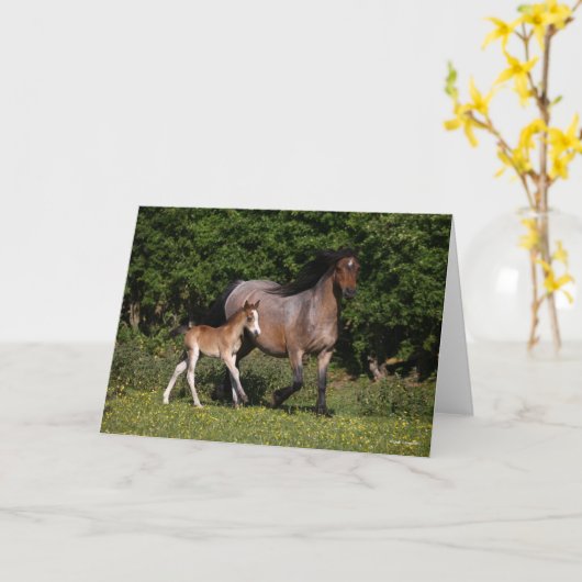 Carte Bob Langrish | Welsh Pony Mare and Foal Running (Fleur jaune)