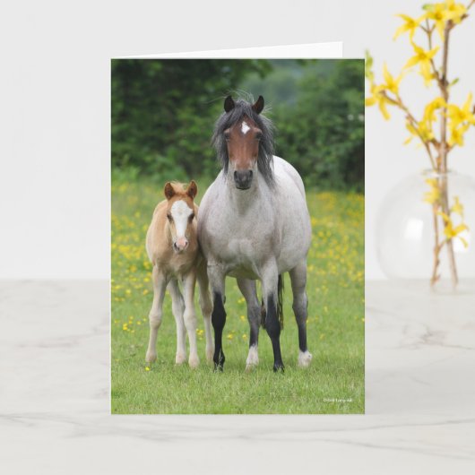 Carte Bob Langrish | Welsh Pony Mare and Foie Standing (Fleur jaune)