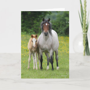 Carte Bob Langrish   Welsh Pony Mare and Foie Standing