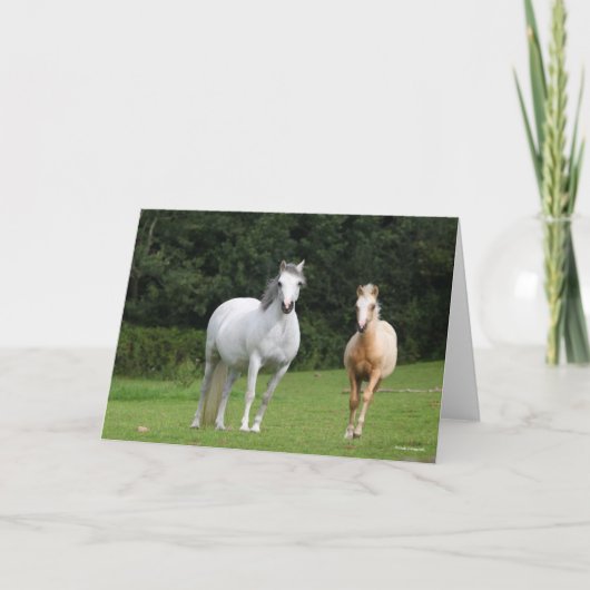 Carte Bob Langrish | Welsh Pony Mare et Foie (Devant)