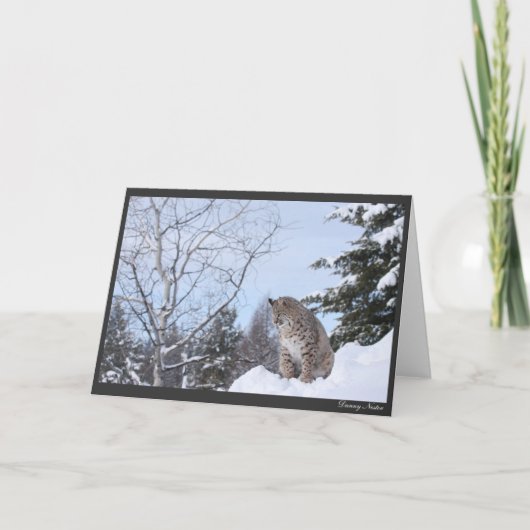 Carte Bobcat (Devant)