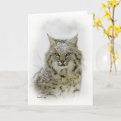 Carte Bobcat (Fleur jaune)