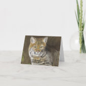 Carte Bobcat (Devant)