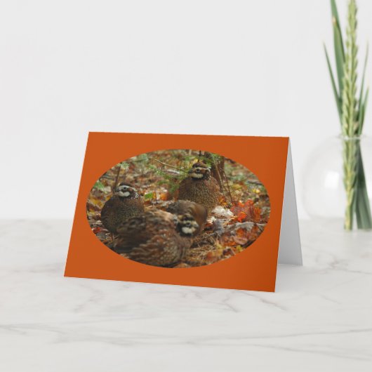 Carte Bobwhite Miracle (Devant)