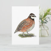 Carte Bobwhite Quail (Debout devant)